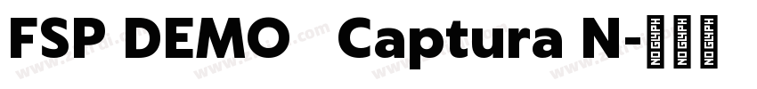 FSP DEMO   Captura N字体转换